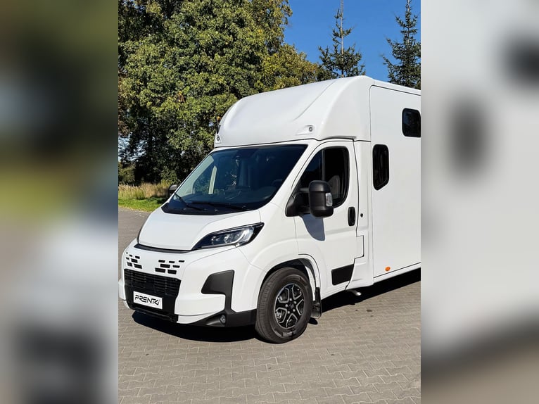 FIAT DUCATO / Pferdeanhänger