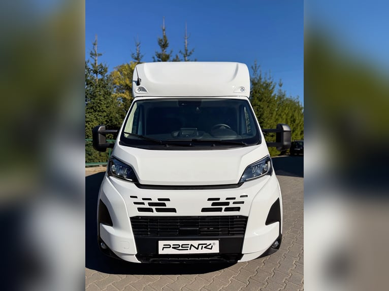 FIAT DUCATO / Pferdeanhänger