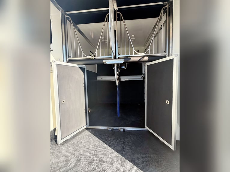 FIAT DUCATO / Pferdeanhänger