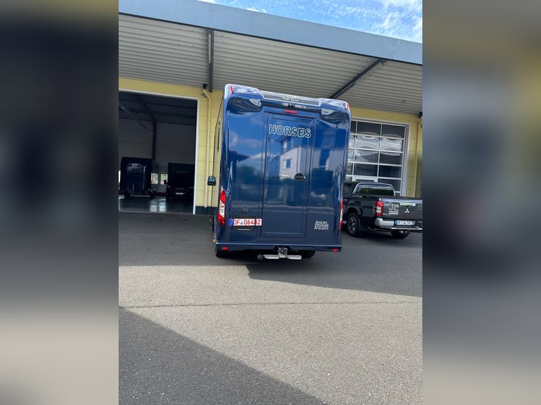 JL Mercedes Benz Sprinter Pferdetransporter, Kofferaufbau, EZ 2023, 8.250 km