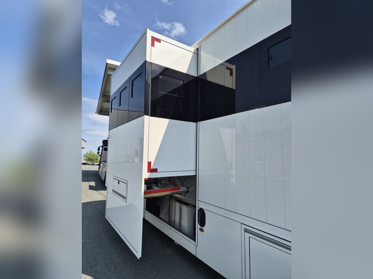 MAN-Pferdetransporter TGM, 15 to - wie neu - nur 18.000 km