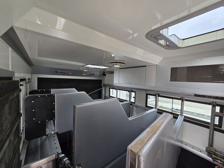 MAN TGM 15.290 4x2 LL – AK Aufbau, EZ 2012, Pop Out, 5 Pferde