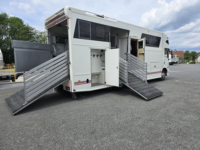 MAN TGM 15.290 4x2 LL – AK Aufbau, EZ 2012, Pop Out, 5 Pferde