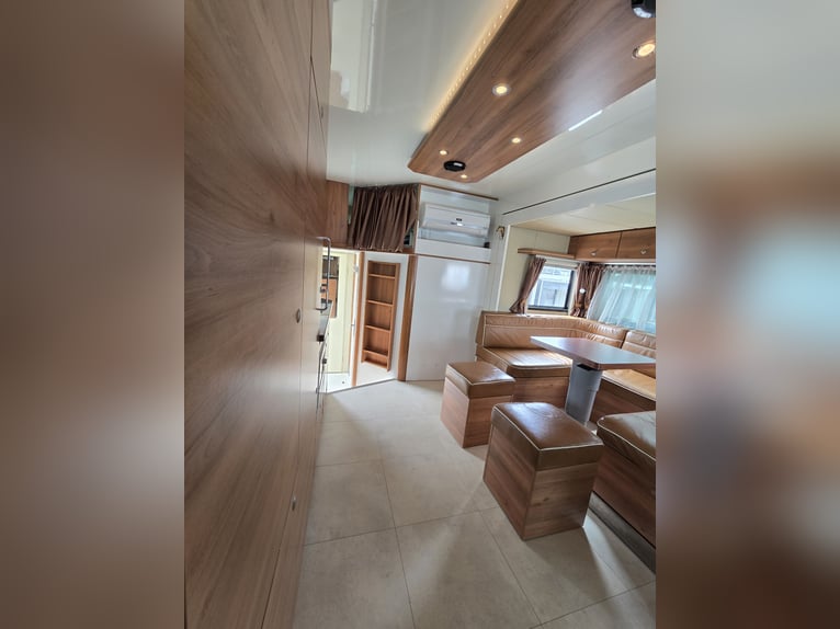 MAN TGM 15.290 4x2 LL – AK Aufbau, EZ 2012, Pop Out, 5 Pferde