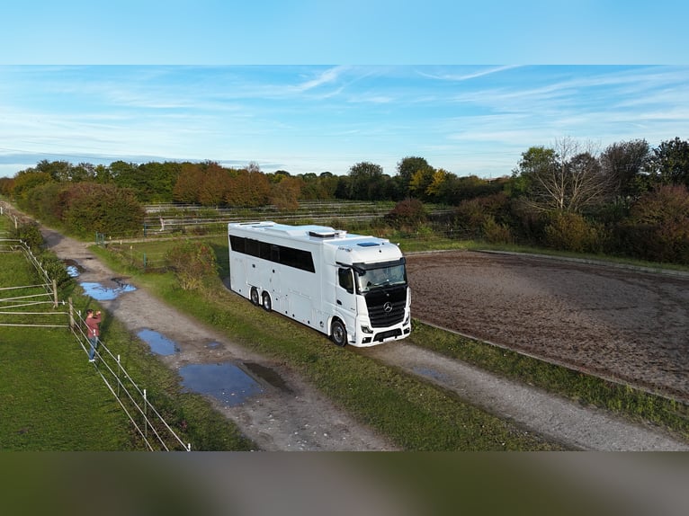 Mercedes-Benz RJH Exclusive H6 Pferdetransporter POP-OUT LKW 