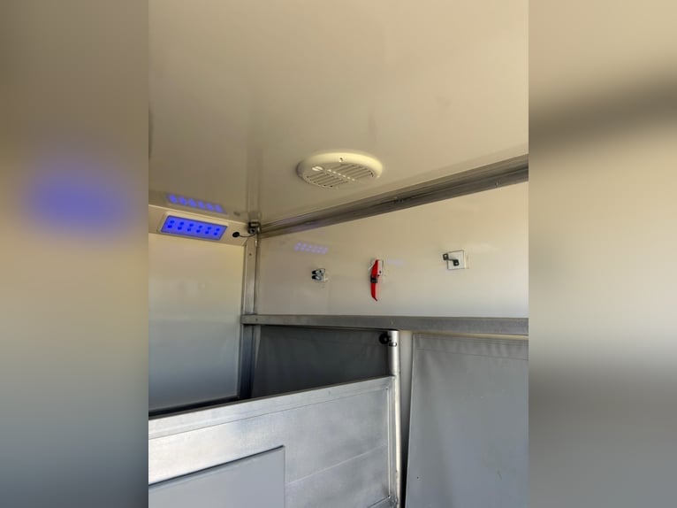 Pferde Transporter Iveco Daily | Pferde LKW | mautfrei | TÜV neu