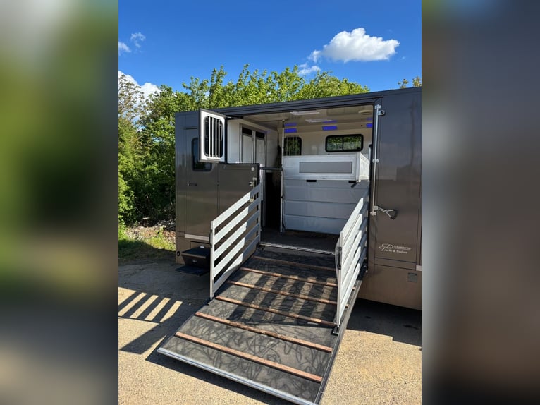 Pferde Transporter Iveco Daily | Pferde LKW | mautfrei | TÜV neu