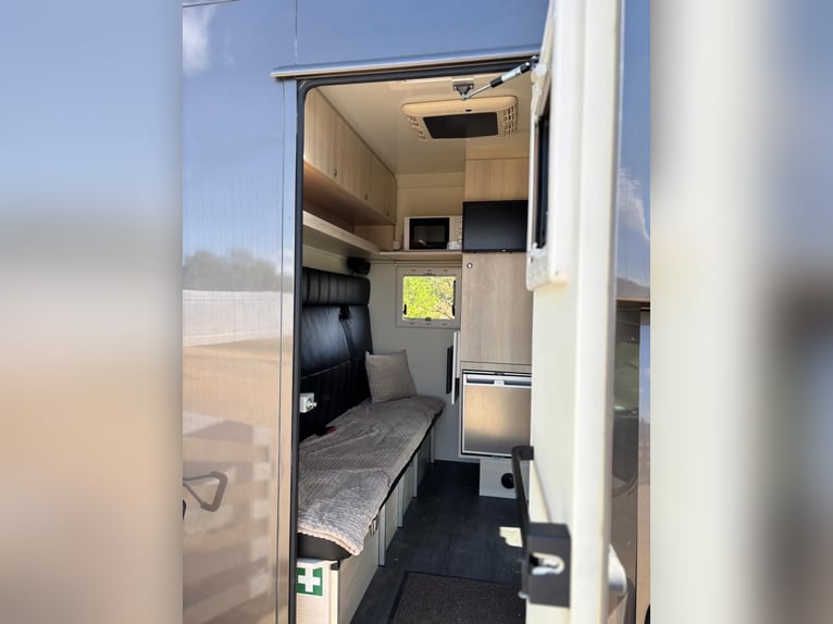 Pferde Transporter Iveco Daily | Pferde LKW | mautfrei | TÜV neu