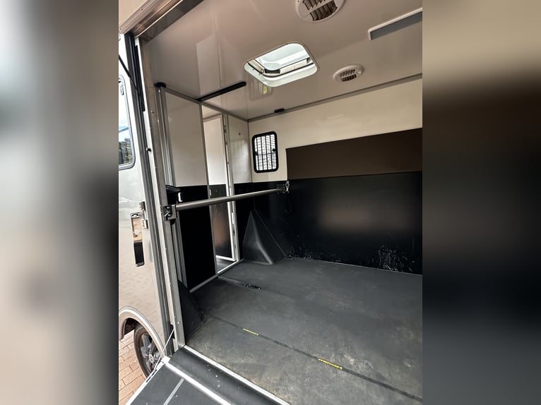 Pferdetransporter Mercedes Benz