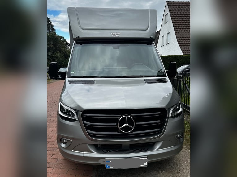 Pferdetransporter Mercedes Benz