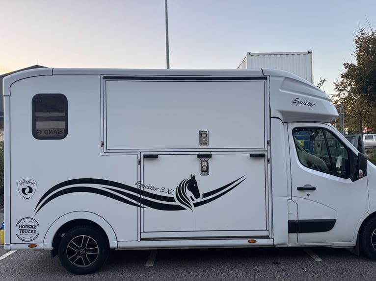 Pferdetransporter Paragan auf Renault Master 3 XL