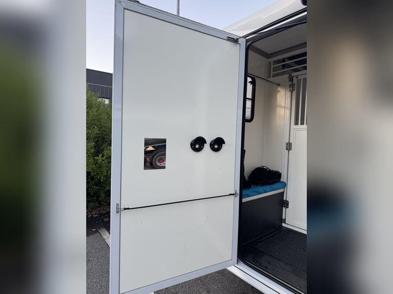 Pferdetransporter Paragan auf Renault Master 3 XL