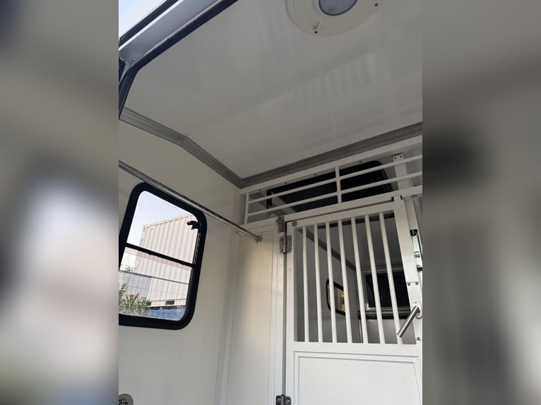 Pferdetransporter Paragan auf Renault Master 3 XL
