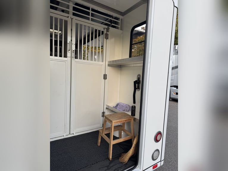 Pferdetransporter Paragan auf Renault Master 3 XL