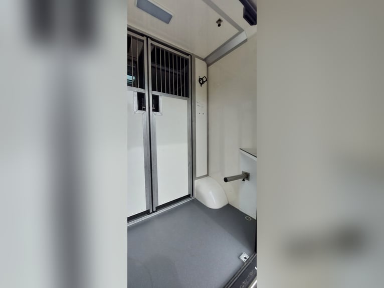 Renault Master 170 PS Euro 6 STX – Pferdetransporter HARAS