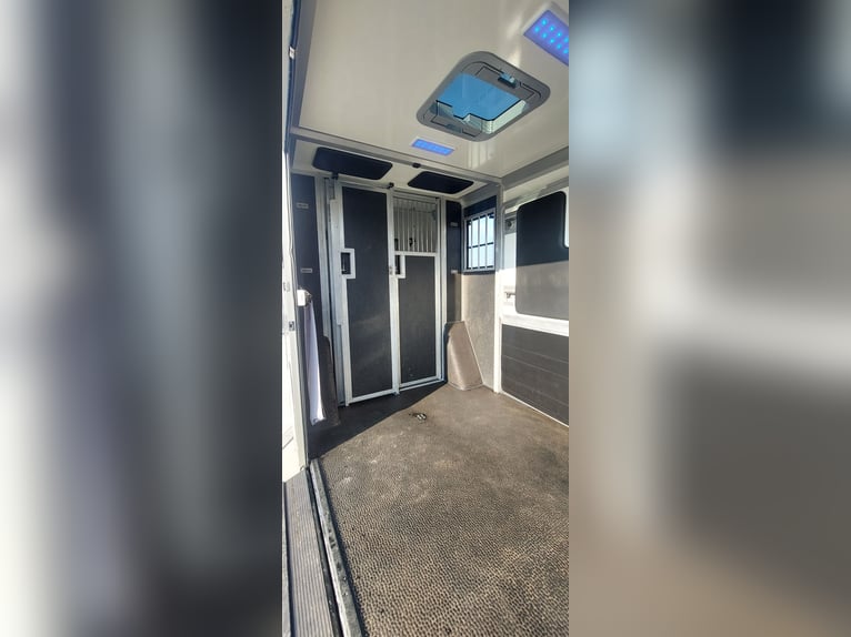 Renault Master 170 PS Euro 6 STX – Pferdetransporter HARAS