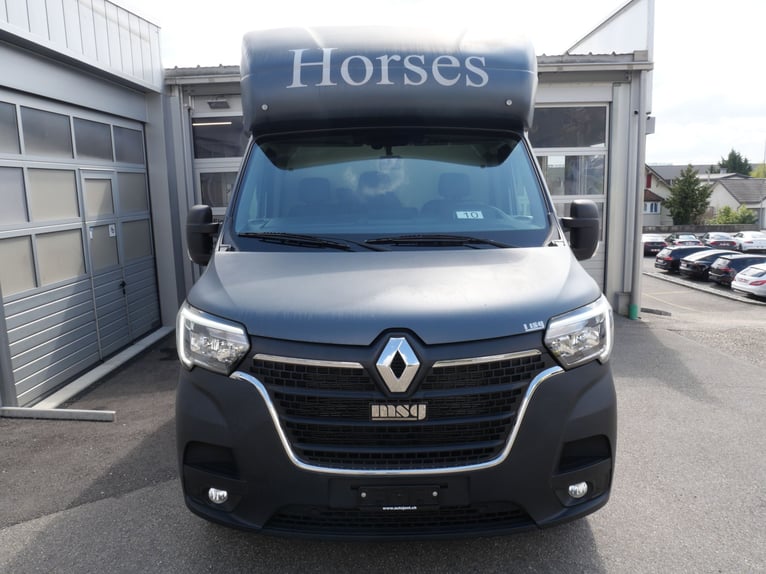 RENAULT Master Automat MSG Pferdetransporter Selbstfahrer