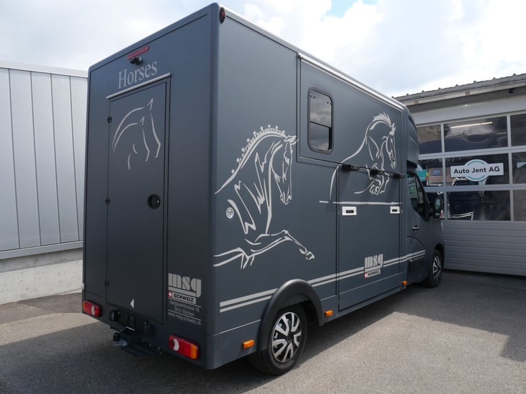 RENAULT Master Automat MSG Pferdetransporter Selbstfahrer