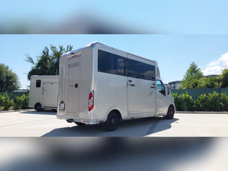 🚚 Renault Master JL Mini | 180 PS Automatik | Exklusiver Pferdetransporter für 1–2 Pferde | HARAS-H