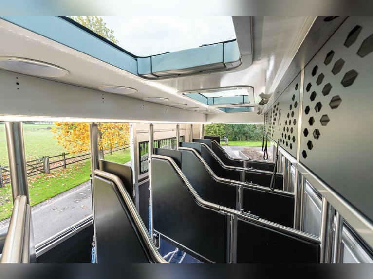 Roelofsen RR6 XL Profiliner Pferdetransporter Horsetruck Pop-Out Pop-Out 5 Pferde LKW