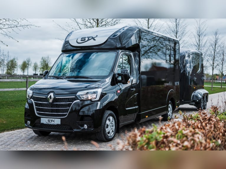 STX 2 Horses Hengst – Mehrere Versionen erhältlich!