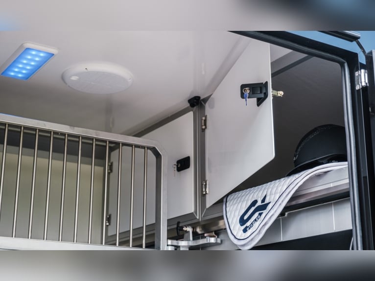 STX 2 Horses Hengst – Mehrere Versionen erhältlich!