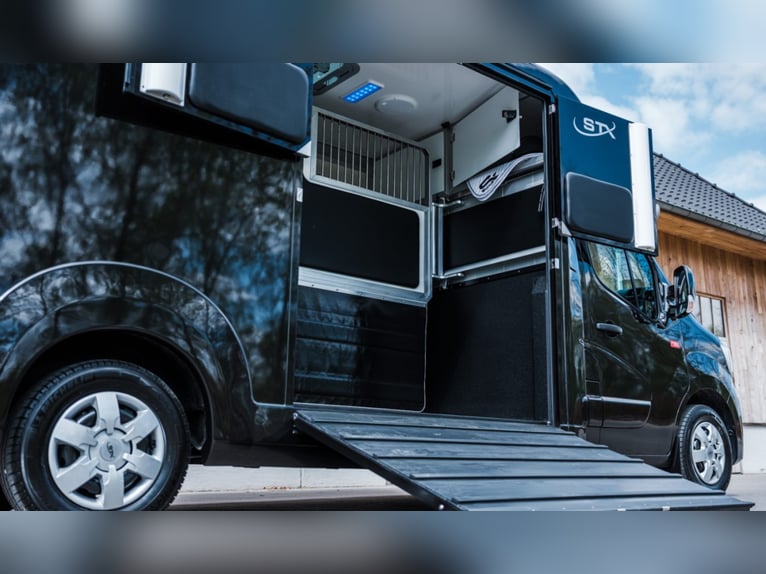 STX 2 Horses Hengst – Mehrere Versionen erhältlich!