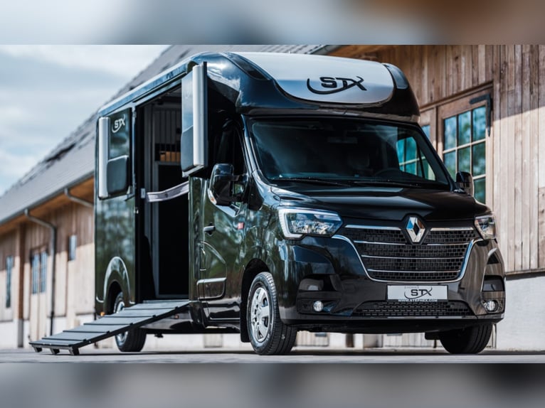 STX 2 Horses Hengst – Mehrere Versionen erhältlich!