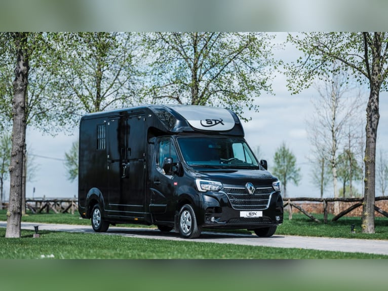 STX 2 Horses Hengst – Mehrere Versionen erhältlich!