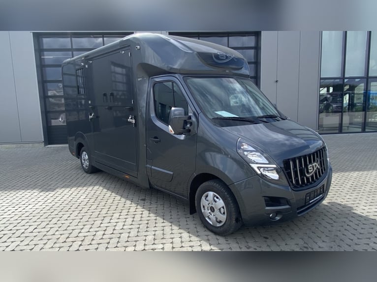 STX 2 Horses Hengst – Mehrere Versionen erhältlich!