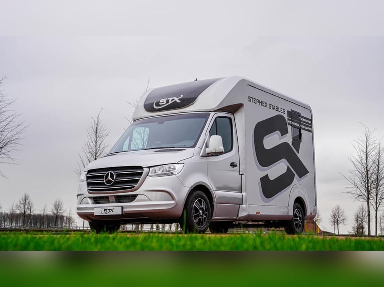 STX 2 Horses Hengst – Mehrere Versionen erhältlich!