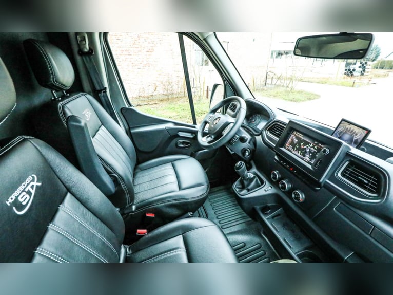 STX 2 Horses Hengst – Mehrere Versionen erhältlich!