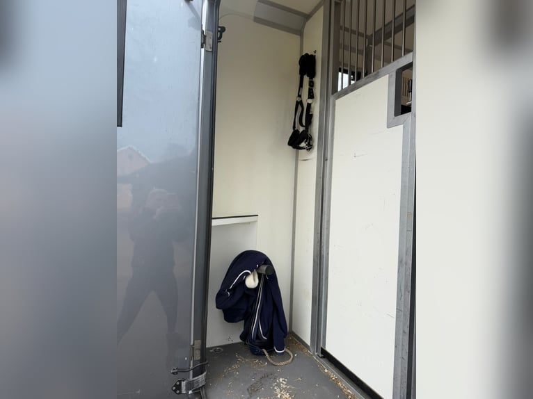 STX Opel Movano Luxus | 5-Sitzer & Top-Sleeper | Leder | 3,5t (Klasse B)