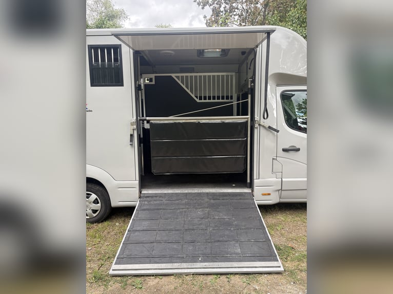 Toller 2 Pferdetransporter