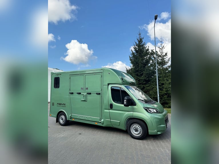 TOYOTA / PRENTKI PROACE MAX 2026