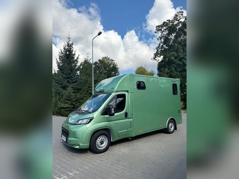 TOYOTA / PRENTKI PROACE MAX 2026