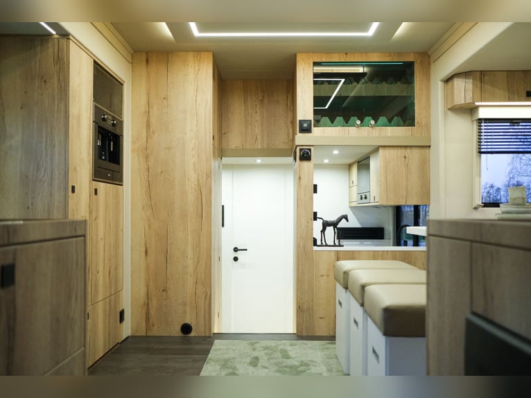 Zu verkaufen: Volvo-LKW mit 5 Pferden, 560 PS, Vollausstattung