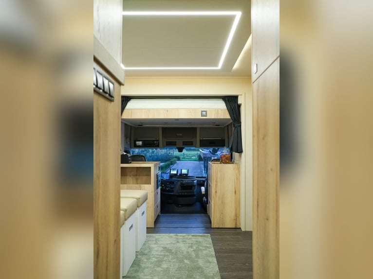 Zu verkaufen: Volvo-LKW mit 5 Pferden, 560 PS, Vollausstattung