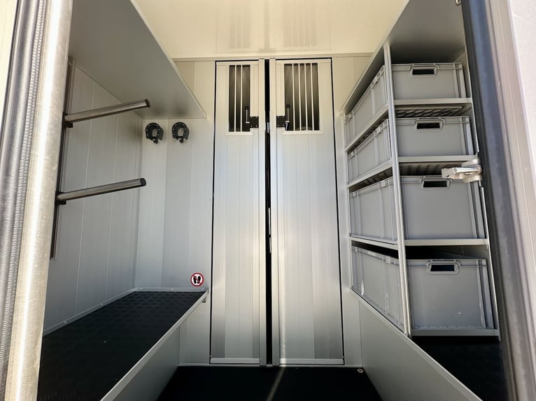 MAN Roelofsen Parados Sport XL 2-Pferdetranporter Automatik LKW Neu