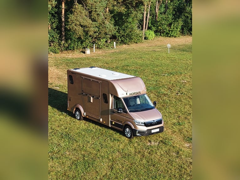 MAN TGE/PRENTKI 2025