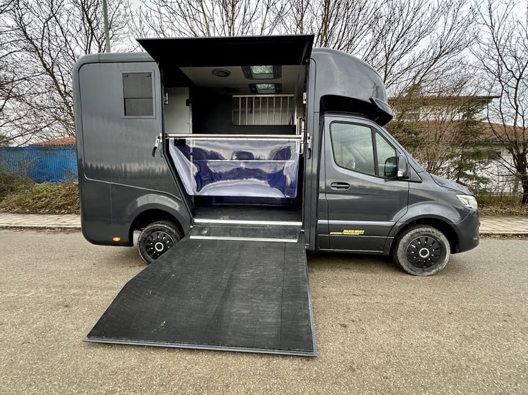 Mercedes-Benz Sprinter 2-Pferdetransporter Automatik Hengstausstattung LKW