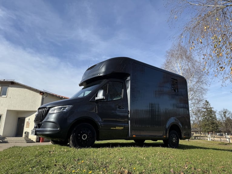 Mercedes-Benz Sprinter 2-Pferdetransporter Automatik Hengstausstattung LKW