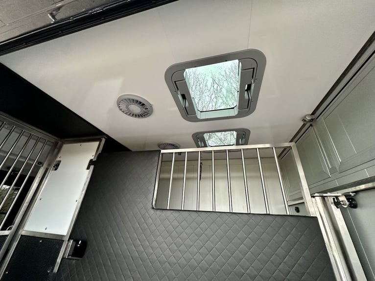 Mercedes-Benz Sprinter 2-Pferdetransporter Automatik Hengstausstattung LKW