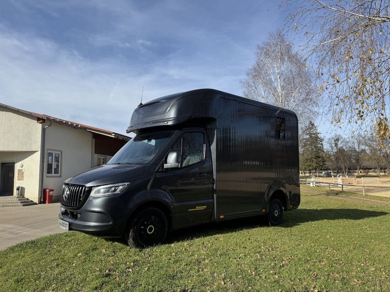 Mercedes-Benz Sprinter 2-Pferdetransporter Automatik Hengstausstattung LKW