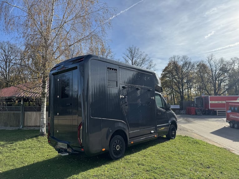 Mercedes-Benz Sprinter 2-Pferdetransporter Automatik Hengstausstattung LKW