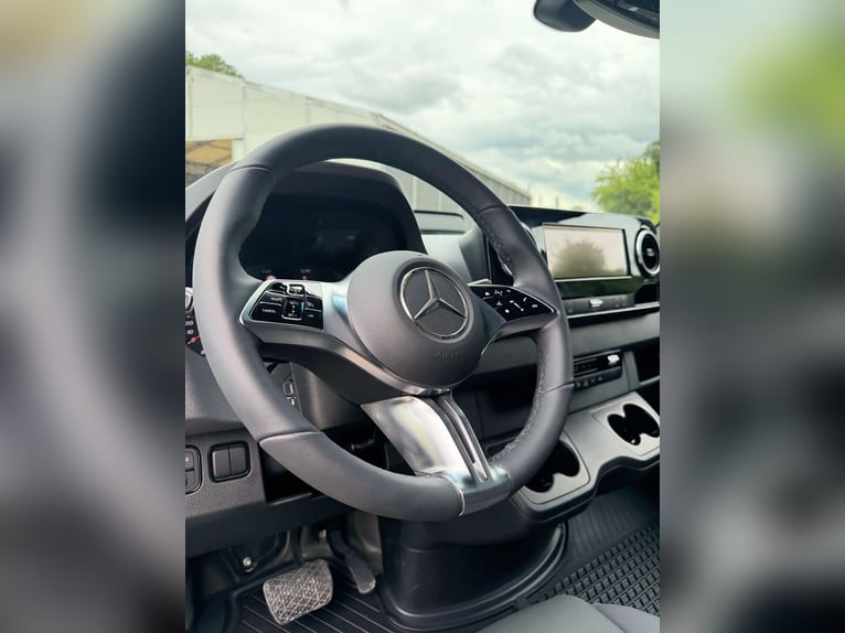 Mercedes-Benz Sprinter Pferdewagen PRENTKI