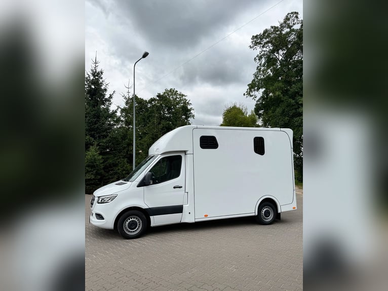 Mercedes-Benz Sprinter Pferdewagen PRENTKI