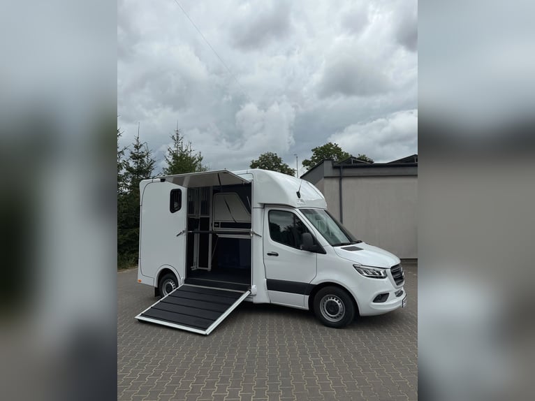 Mercedes-Benz Sprinter Pferdewagen PRENTKI