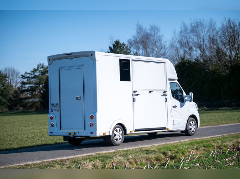 Neuer ultra-leichter 2-Pferde Renault Master Pferdeanhänger
