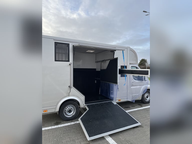 Peugeot Boxer Pferdewagen 2024, nur 29.000 km, neue Ausstattung – noch Garantie.